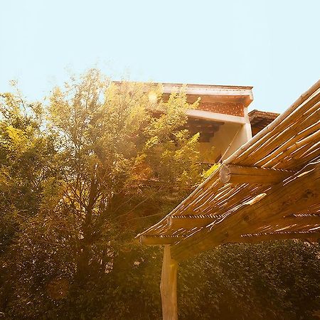 Casa Huijazoo Nature & Balance Hotel Mazunte Zewnętrze zdjęcie