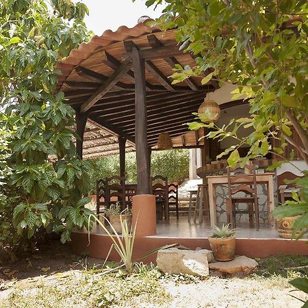 Casa Huijazoo Nature & Balance Hotel Mazunte Zewnętrze zdjęcie