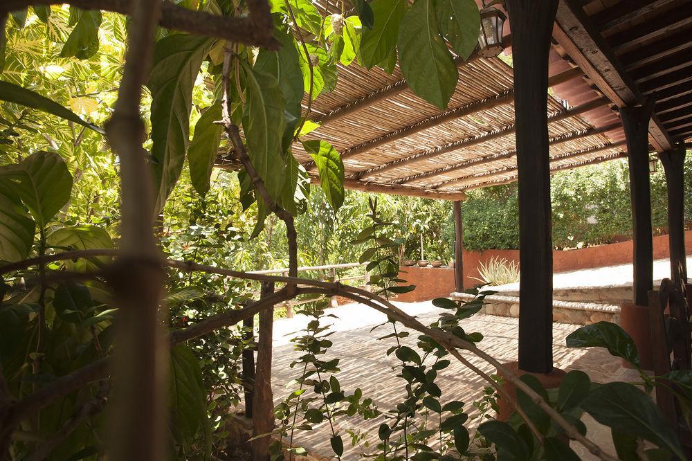 Casa Huijazoo Nature & Balance Hotel Mazunte Zewnętrze zdjęcie
